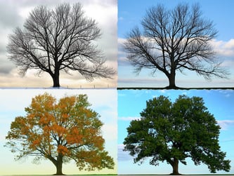 2775011897_a644772bd8_c 2775011897_a644772bd8_c